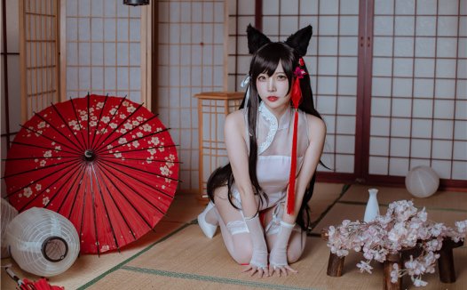 二佐Nisa 犬之眷 碧蓝航线 爱宕 旗袍 [18P-117M]